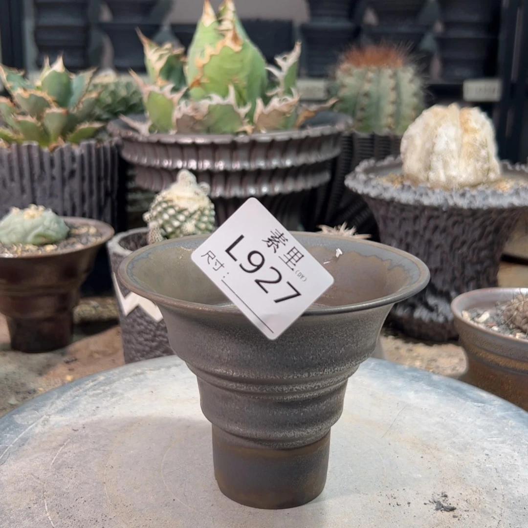 景德镇手工素里内口12.5高10