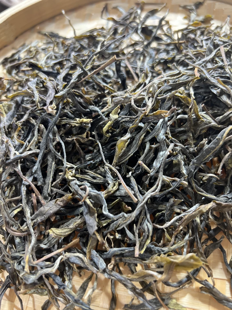 9号  2024年大户赛古树秋500克生茶  杨国英   2025.7.26直播