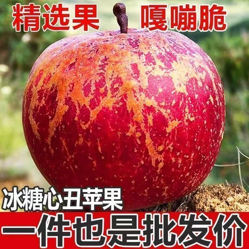 大凉山丑苹果新鲜现摘脆甜多汁应季水果盐源丑苹果脆甜苹果