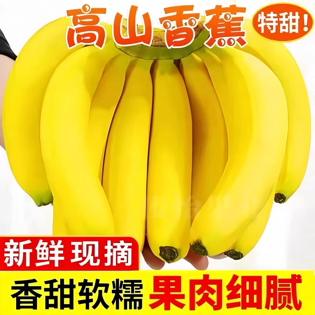 广西高山香蕉高端精选独立包装宝宝辅食燕麦香蕉早餐自然熟水果