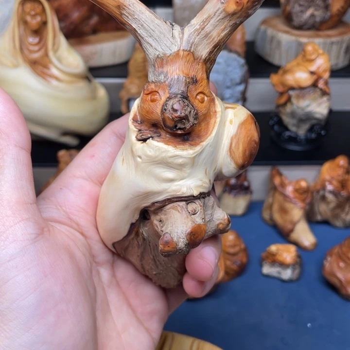 柏木（崖柏）5555555689