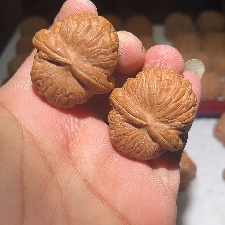 木41全品粗筋元宝