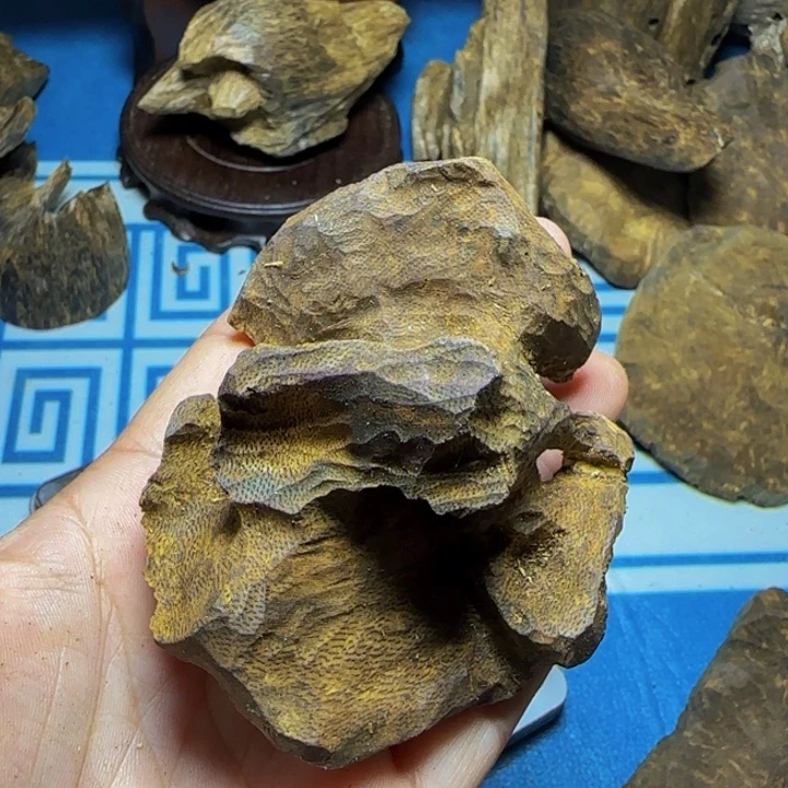 木质母树绿奇陆河包头37克
