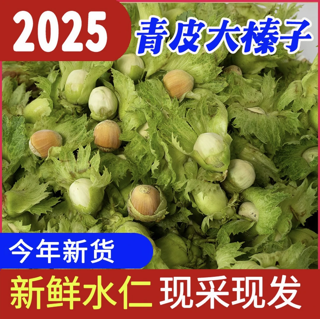 辽宁开原新鲜带皮鲜果大榛子