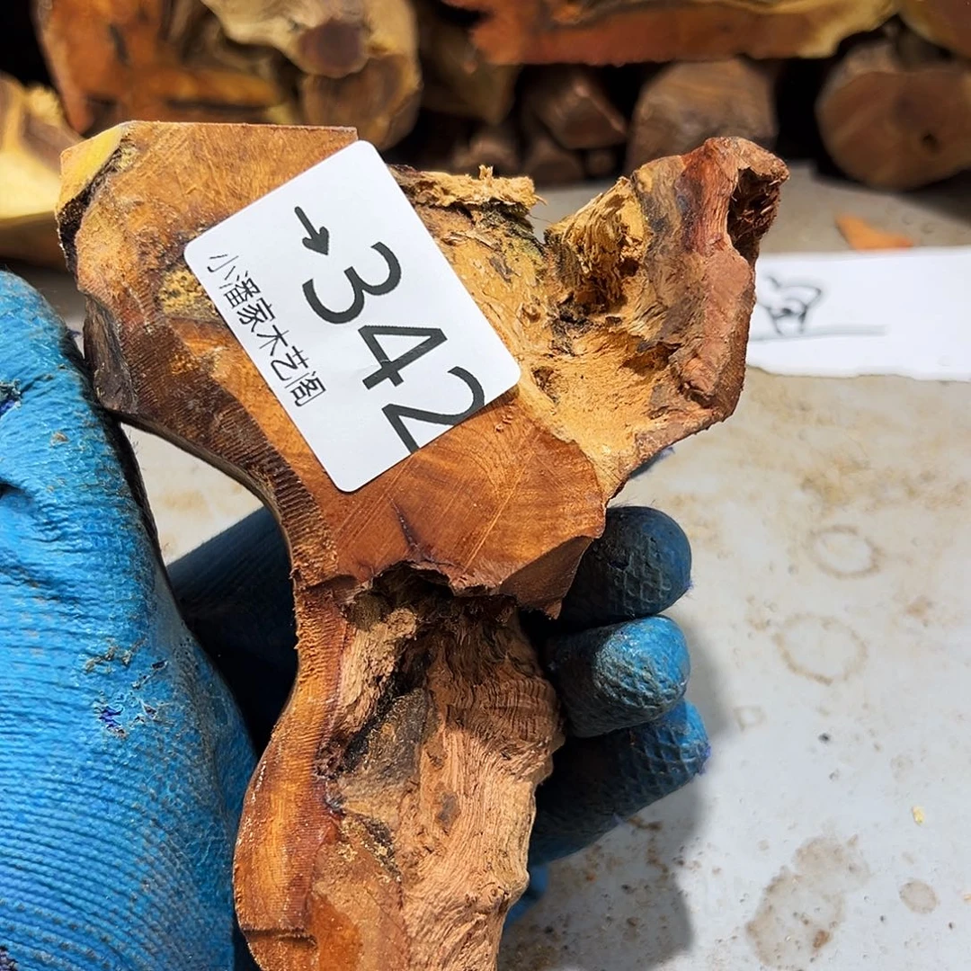 香榧木乡**仔火琉璃……火琉璃