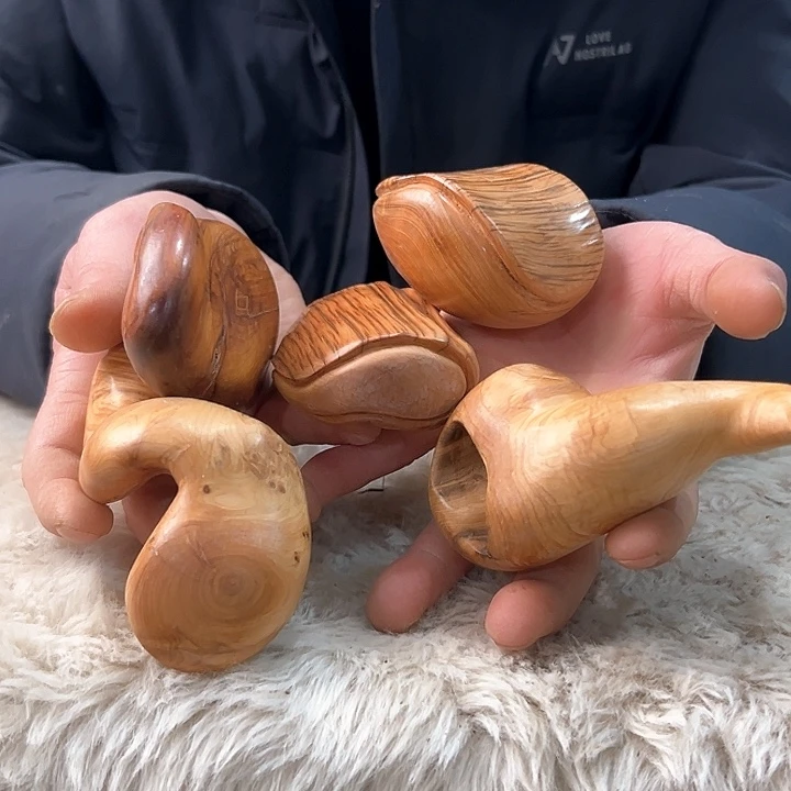 柏木丹*我们的生活也是如此