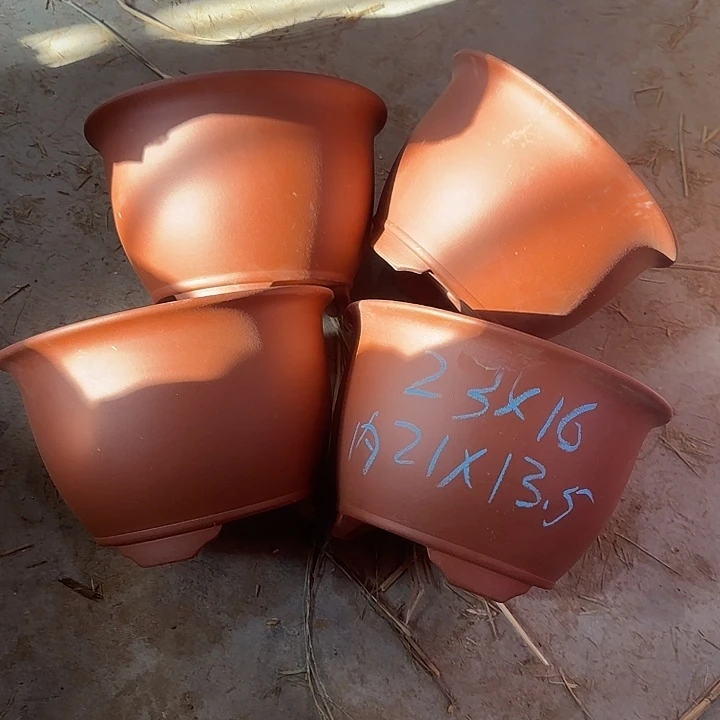 23×16四只手工胖京中