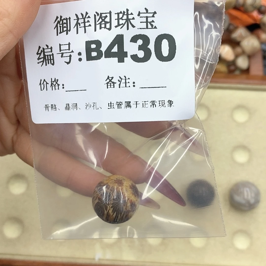 硅化珊瑚（珊瑚玉）颈饰未镶嵌玖*