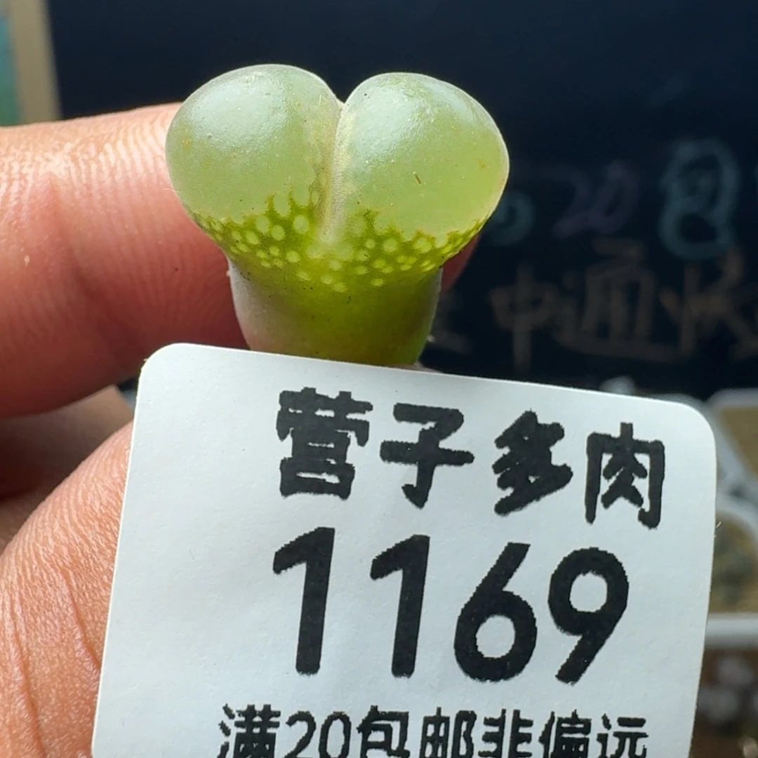 红宝石