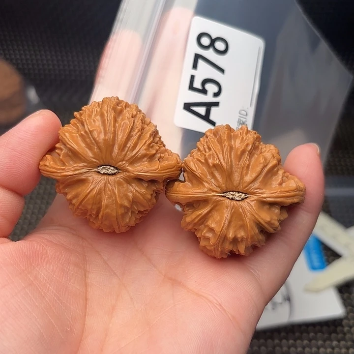 把件文玩核桃核桃