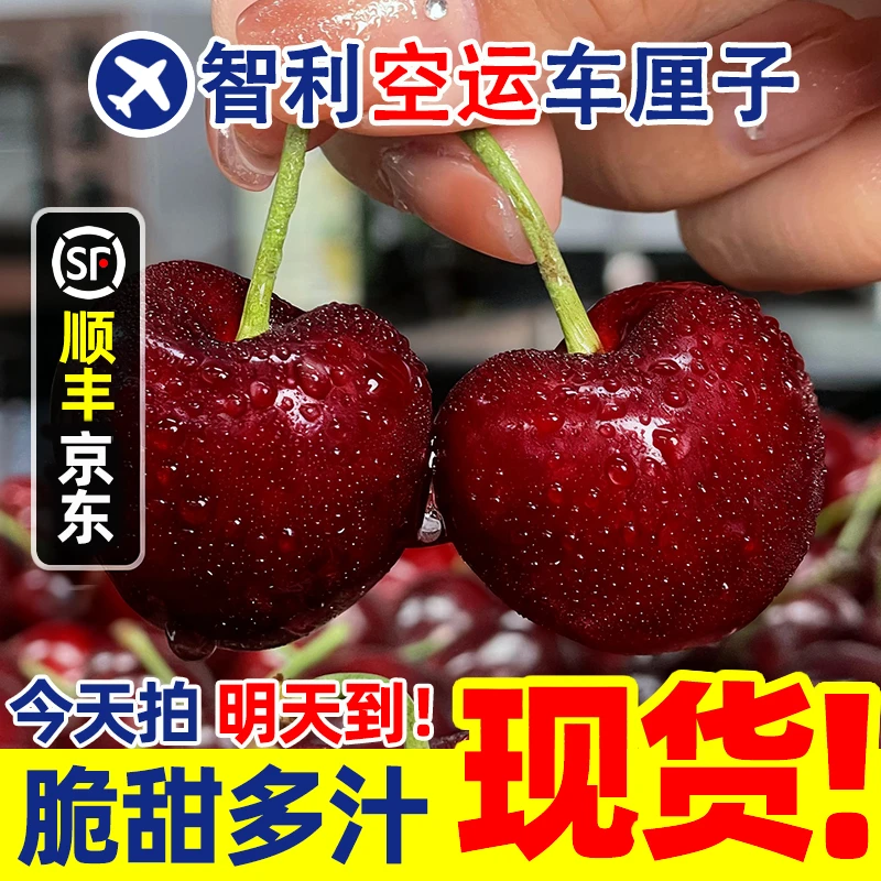 3JD特大果【粉丝升级4JD果王】2斤礼盒智利空运车厘子装800g新鲜水果JJ净果桑提娜樱桃智利共和国