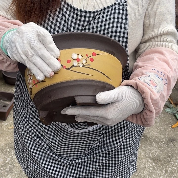 20黄富贵点菜小一个花盆紫砂花盆