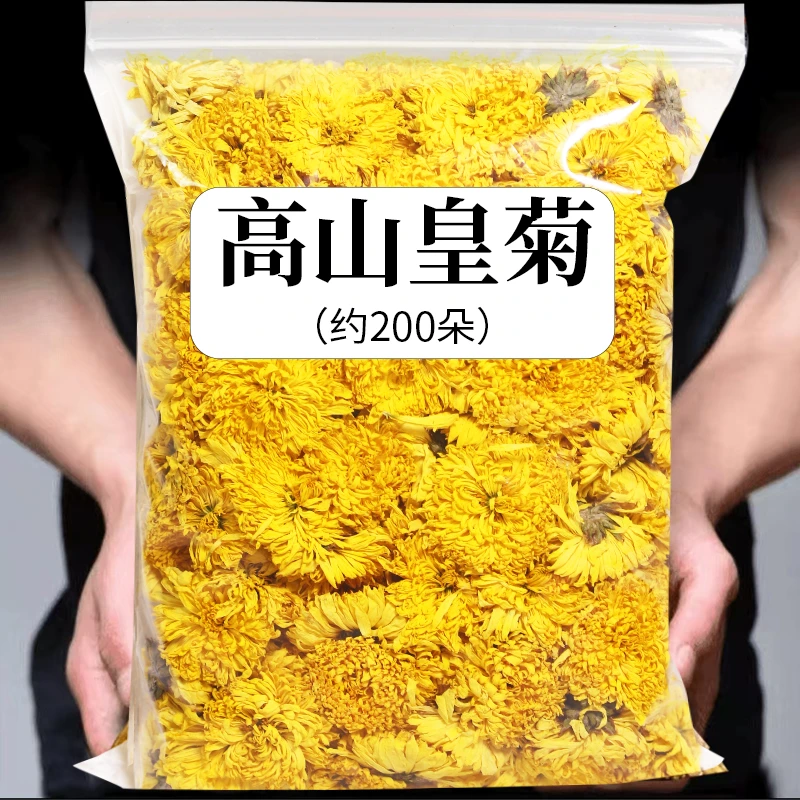 【小皇菊】高山皇菊菊花茶皇菊菊花茶新花花草茶