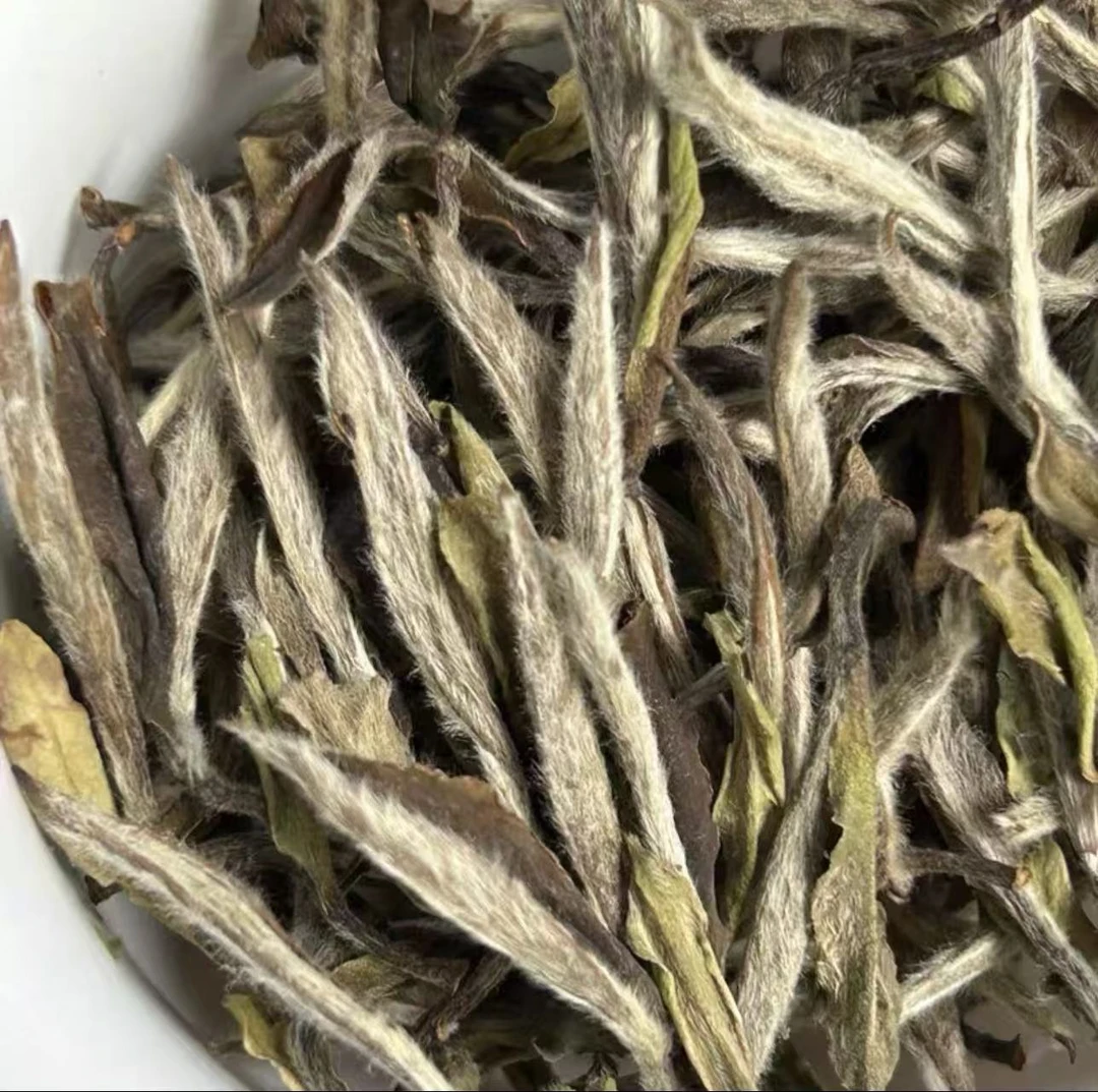 【高总源头收好茶】福鼎核心牡丹王白茶 头春一芽一二叶 毫香蜜韵