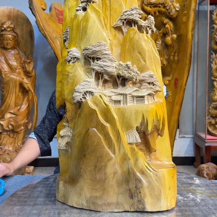 香樟木会*长40厘米高80