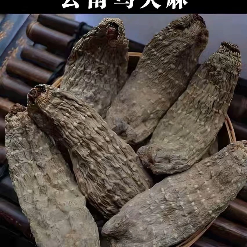 云南土特产乌天麻野生