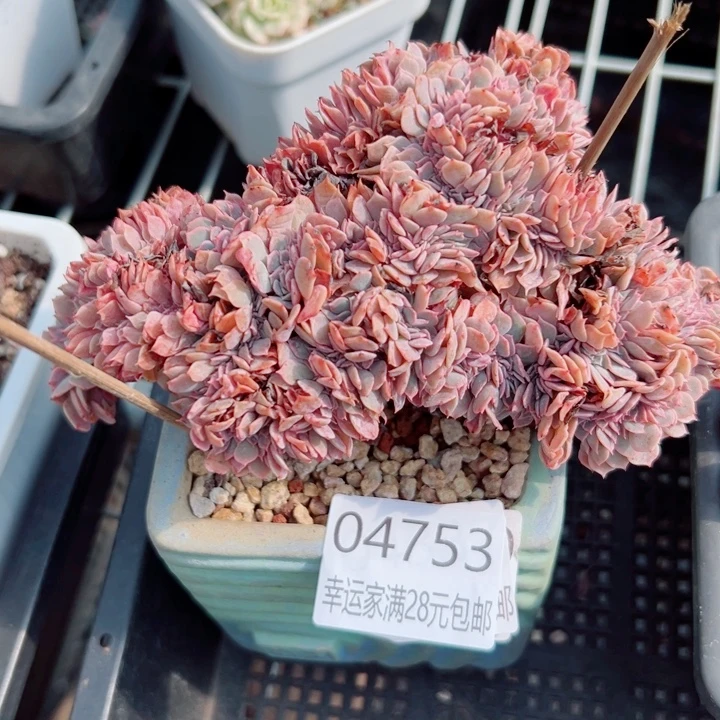 幸运的是我没有遇到过这样