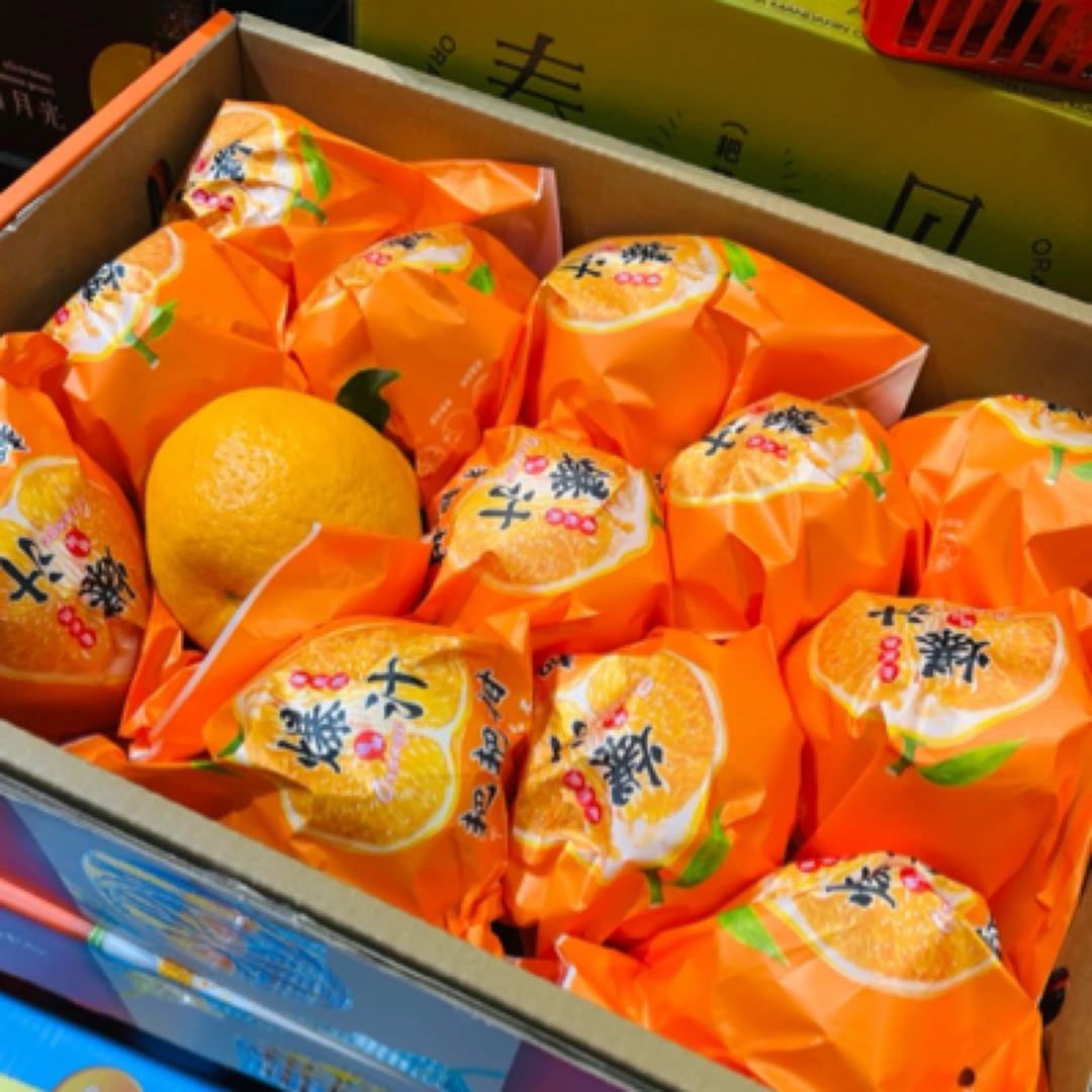 春见粑粑柑 纯甜