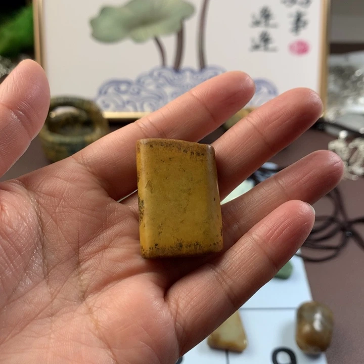 透闪石质玉未镶嵌颈饰