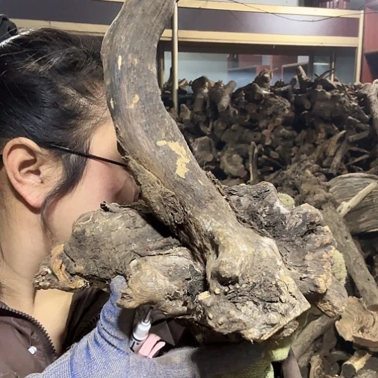 香榧木米*鼠火琉璃的毛料摆件