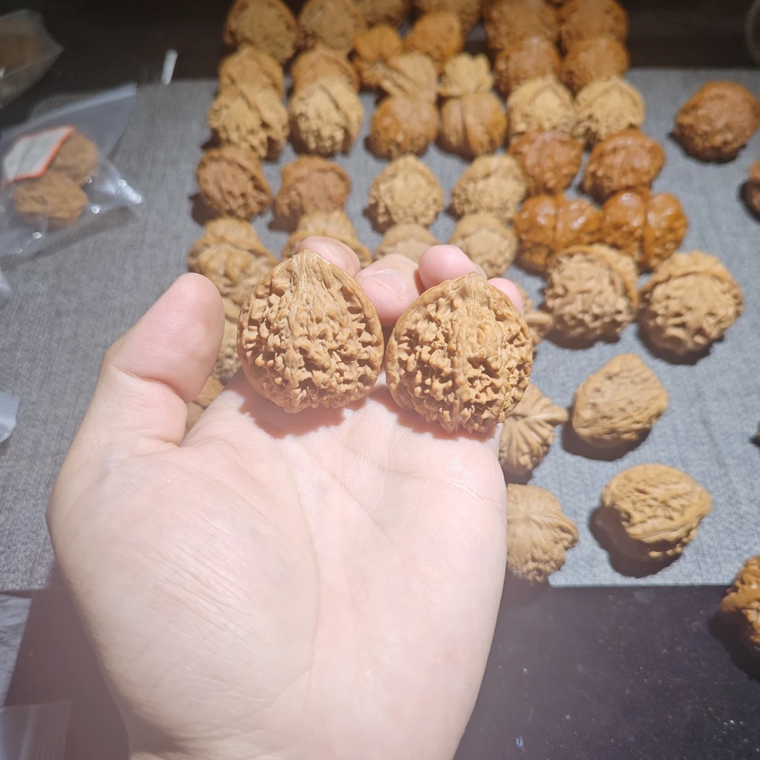 文玩核桃35山地老树满天星