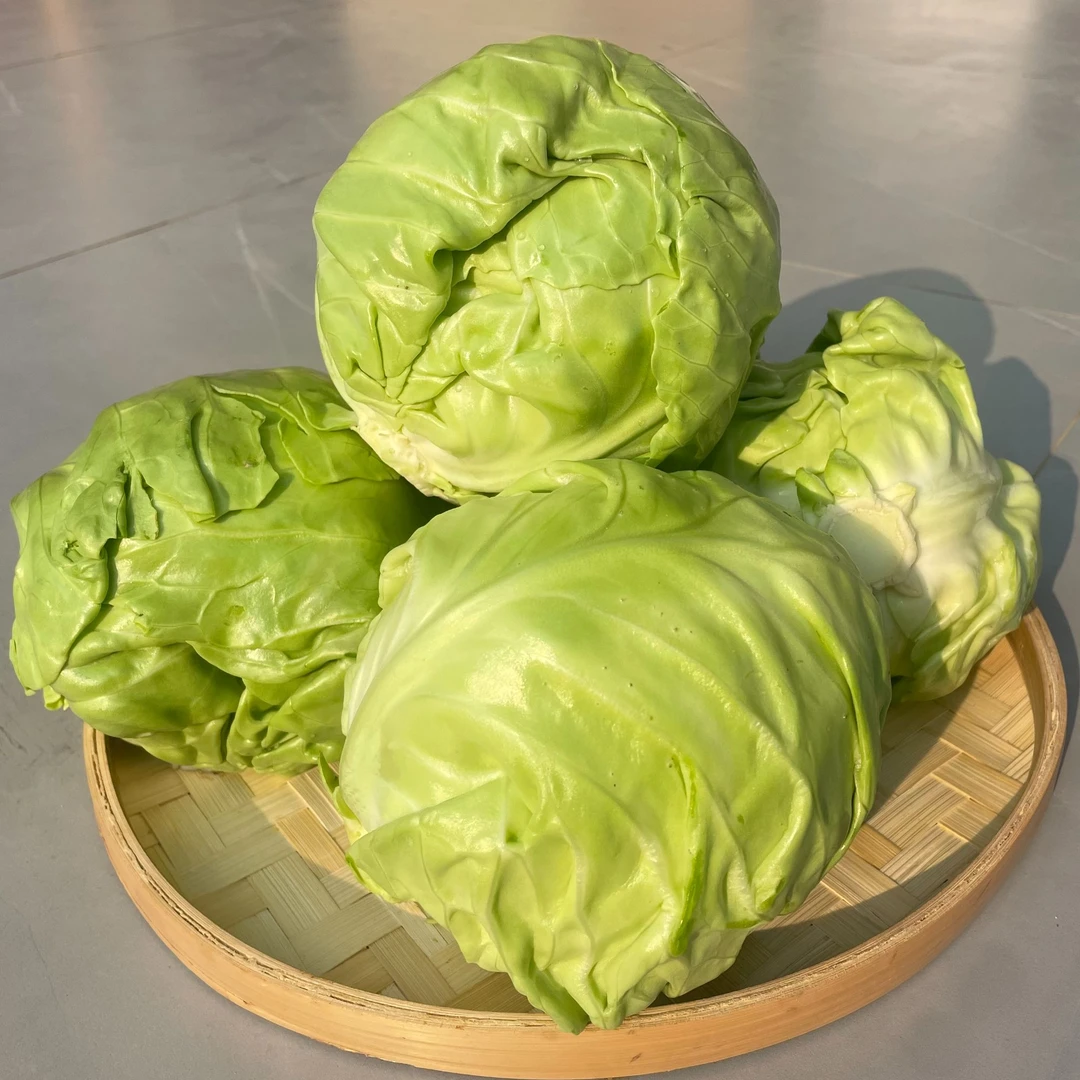 【农乡阁臻选】京白菜 莲花白