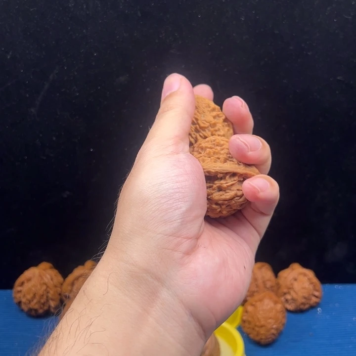 那就是我们家有了这个新成员