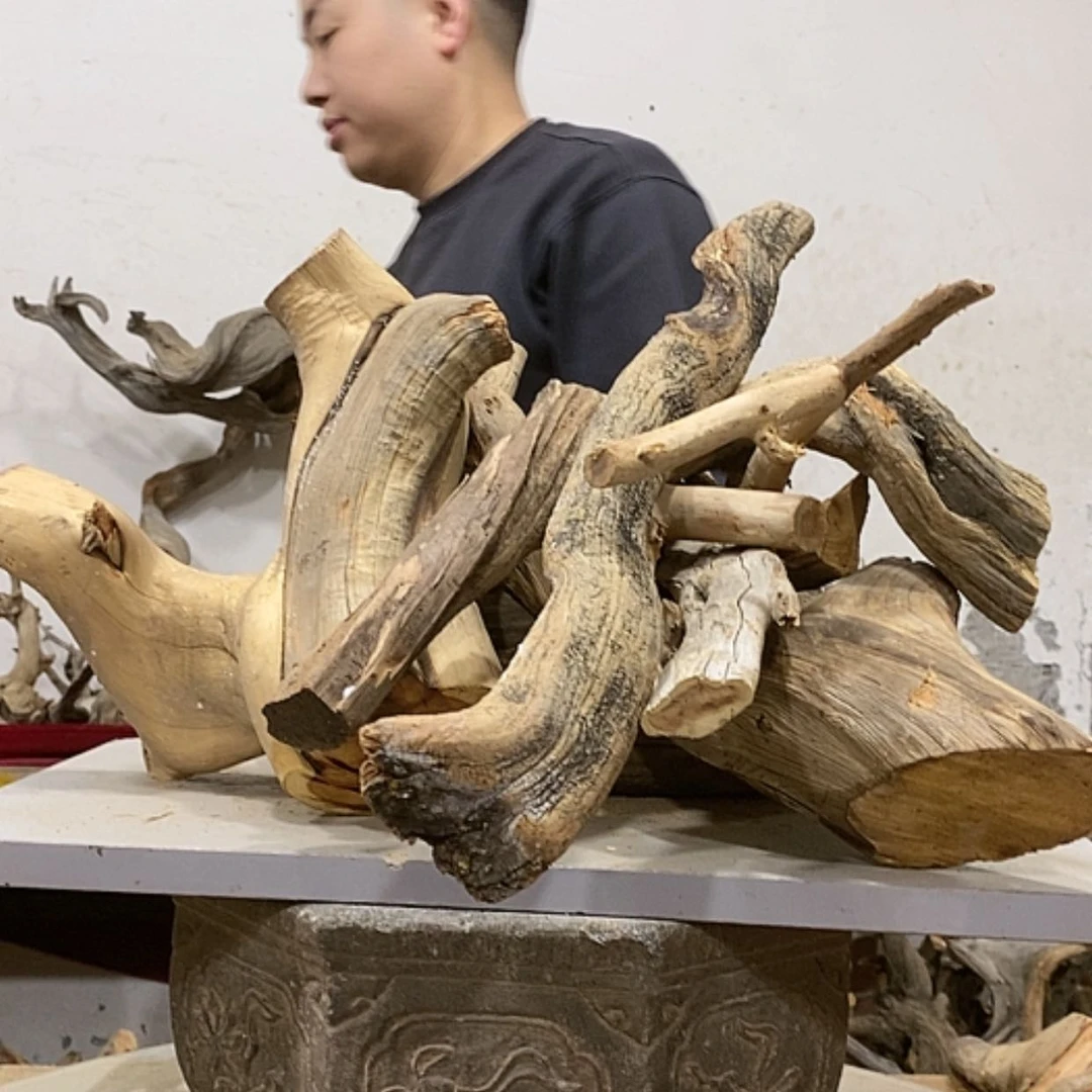 【闪购商品】柏木雷****?我们都是好孩子