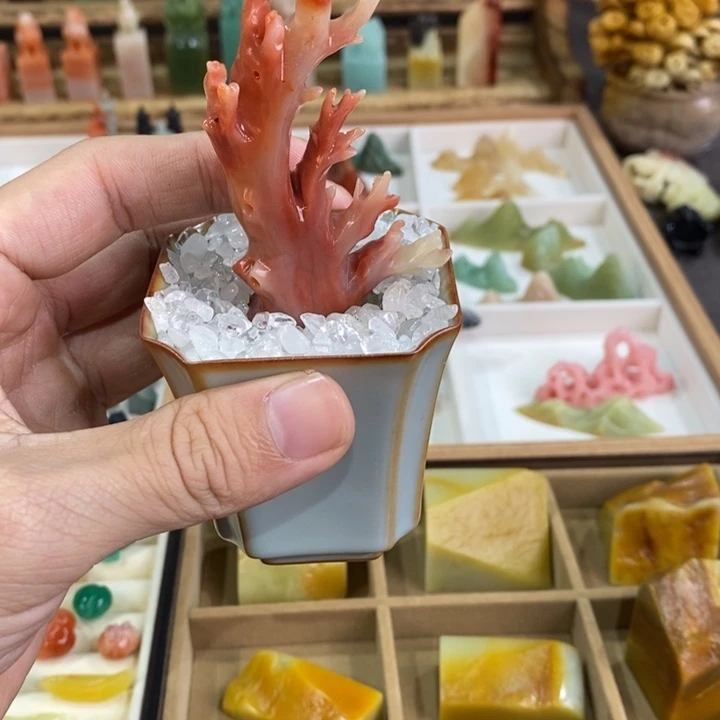 t***s老挝石珊瑚摆件红色