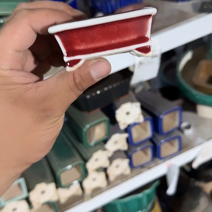 是一个不知名作家与著名导演
