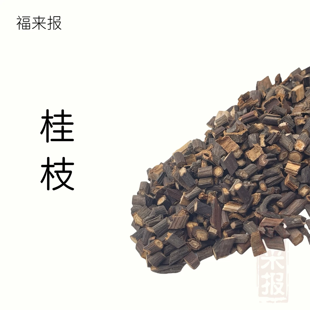 桂枝无硫精选桂枝广西嫩尖道地桂枝汤肉桂