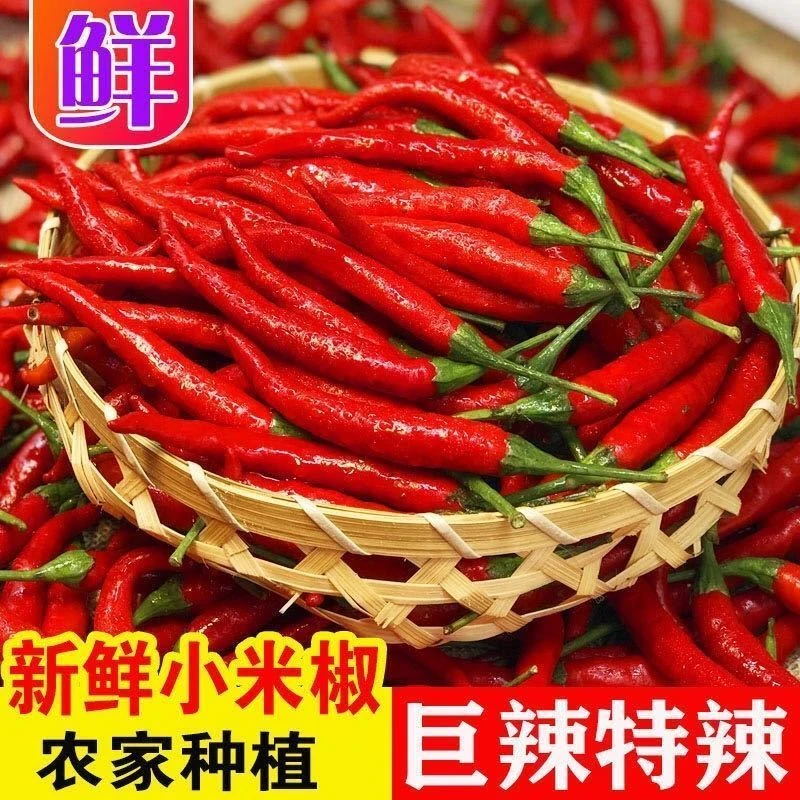 7正宗小米辣鲜椒特辣新鲜魔鬼红辣椒辣椒朝天椒指红米椒