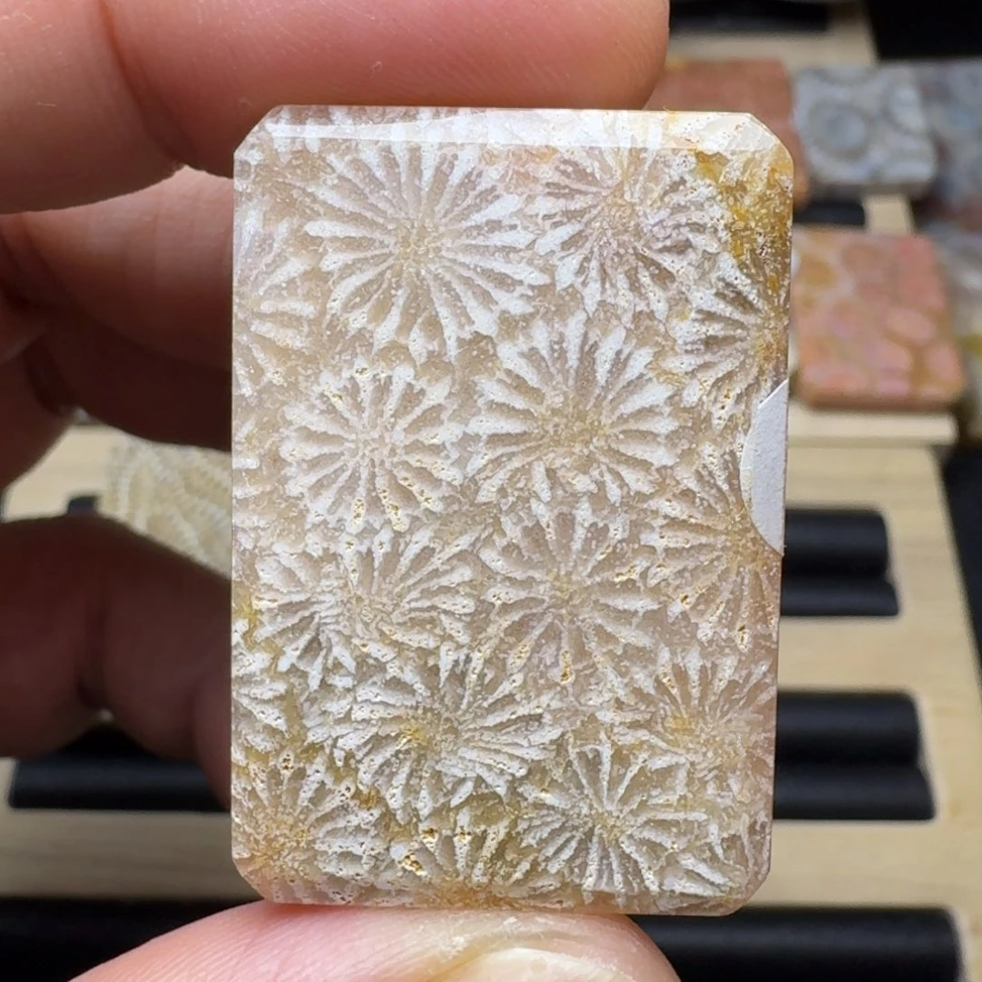 硅化玉未镶嵌纯天然色有机玉石保真色