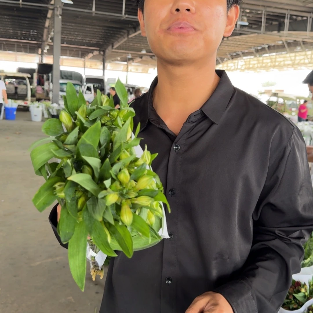 白色六初花1扎包邮价秒杀
