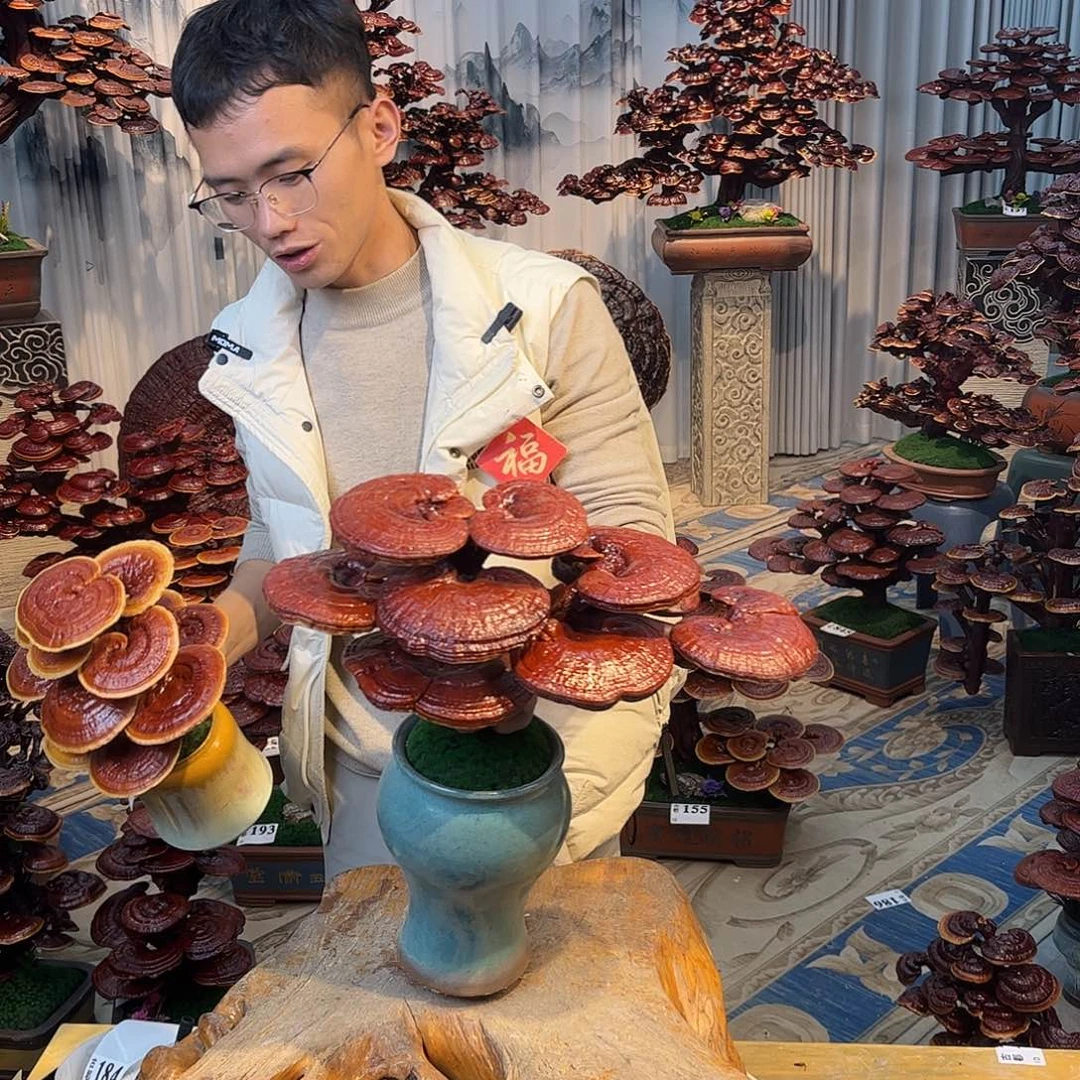 无花朵888888888888