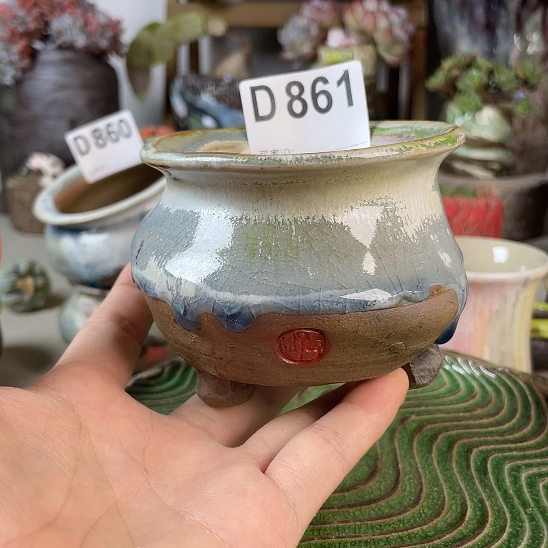 异型盆 内口6.5玩搭配 百搭
