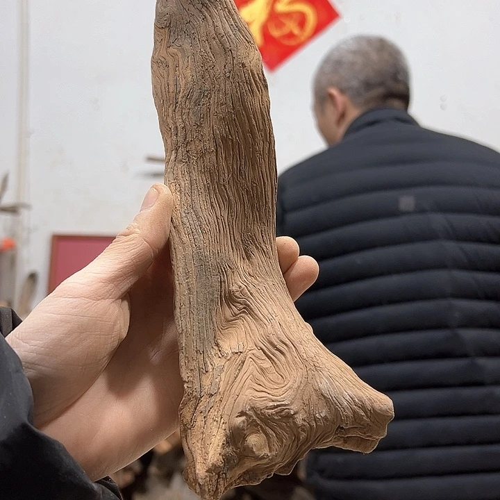 柏木同*我们的生活也是