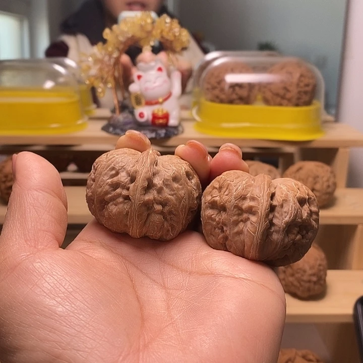 44尺寸的翘肩大元宝