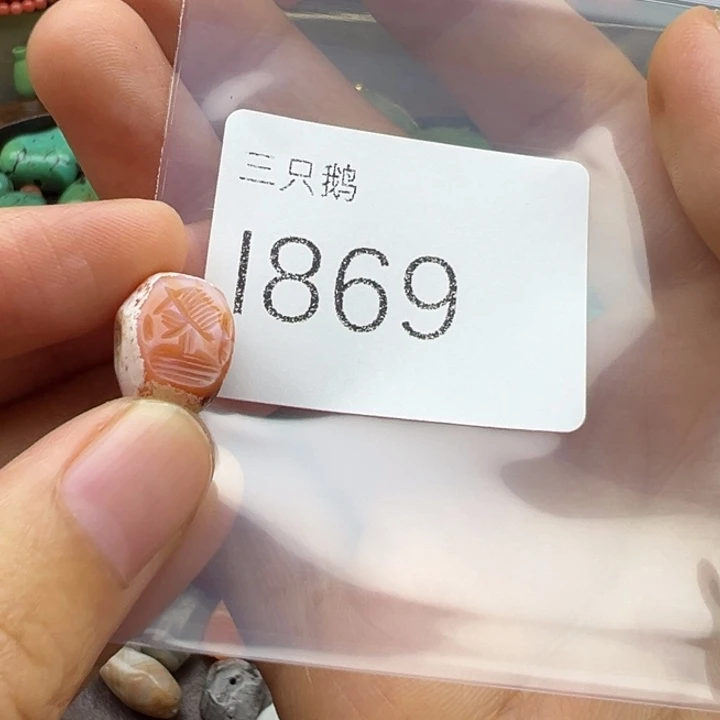 吊坠菩提根/象牙果