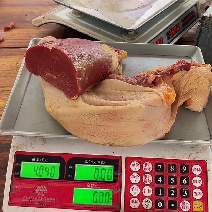 广西土耕马马肉、沙姜炒马肉中国大陆