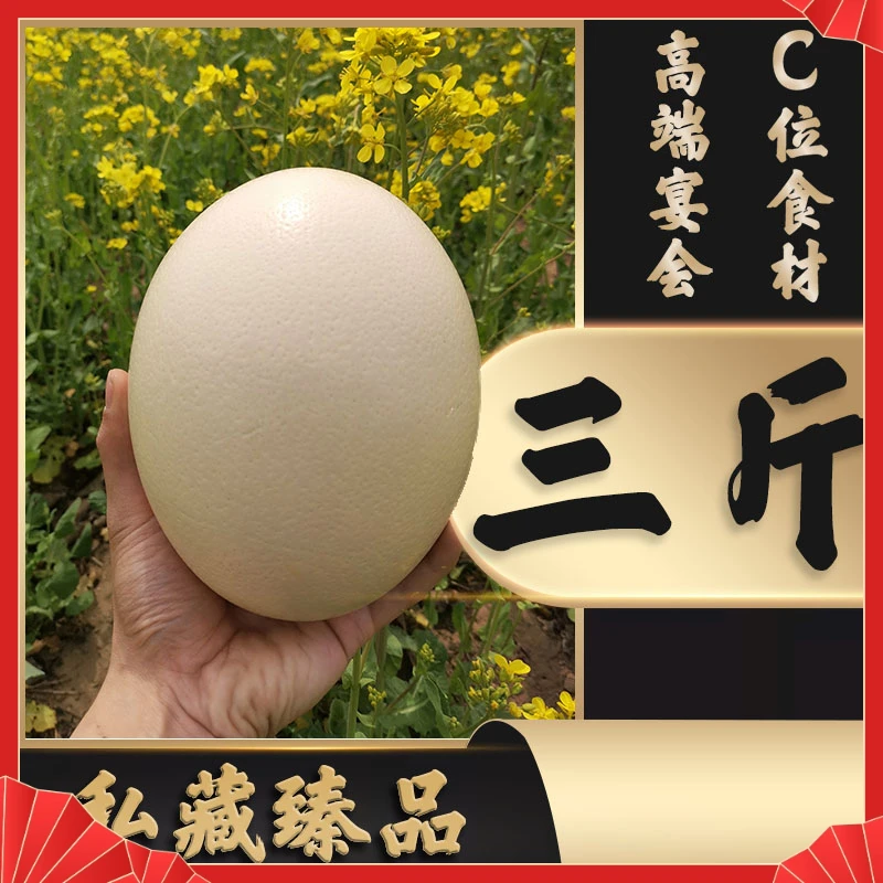 三斤包邮丰富散养大号蛋节日鸵鸟蛋新鲜送礼营养包赔三斤到家
