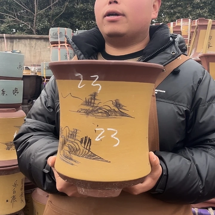 紫砂紫砂花盆盆栽