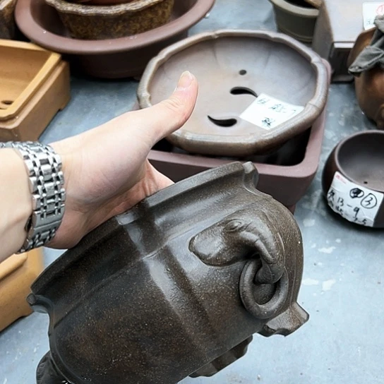 红陶紫砂花盆漂亮