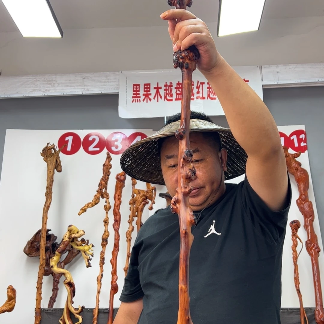 回***鱼黑果木其他黑果木985
