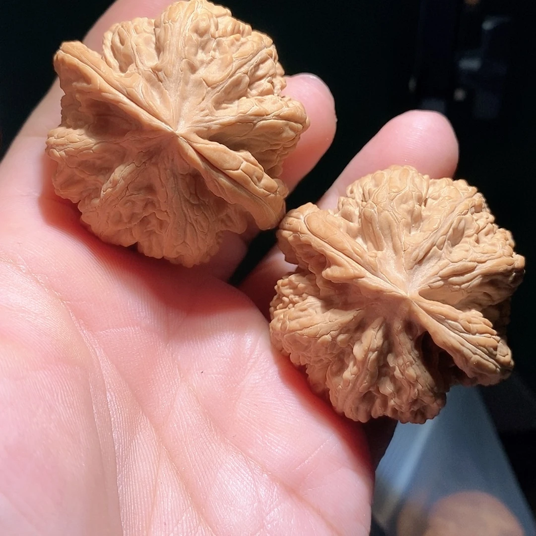 把件文玩核桃48大粗筋全品