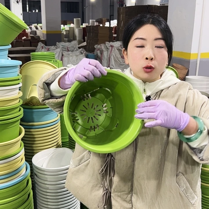 正品圆控口24高24果绿8只无托