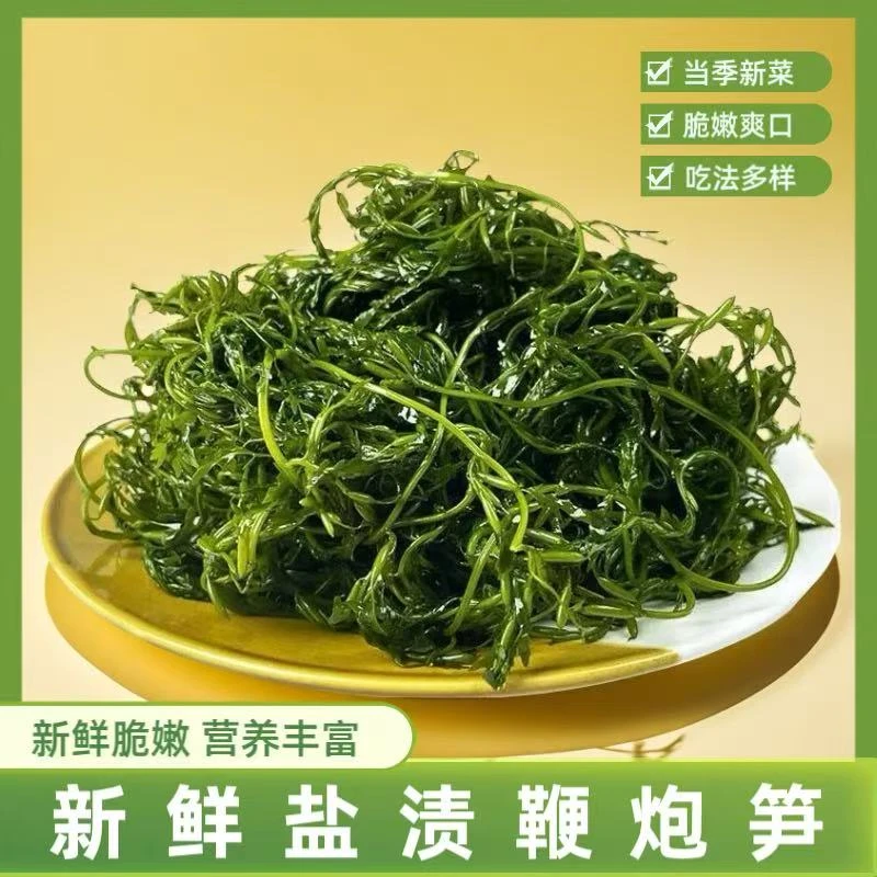 【3袋9，9】250g/袋新鲜盐渍鞭炮笋海藻长寿菜龙须菜火锅食材凉拌菜