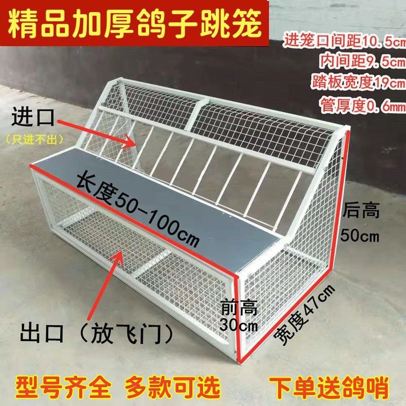 不锈钢鸽子跳笼带跳台进出门赛鸽训放信鸽用具