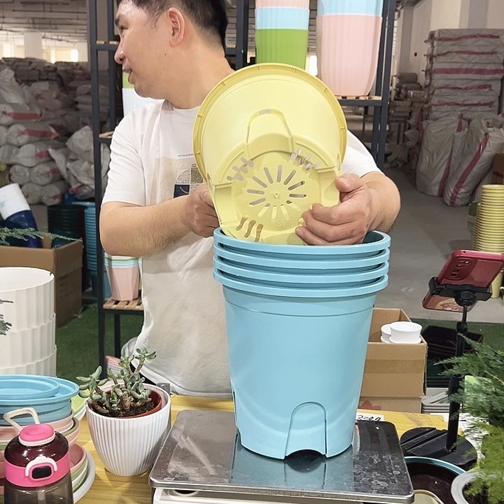 圆控口24高24混色5个无托