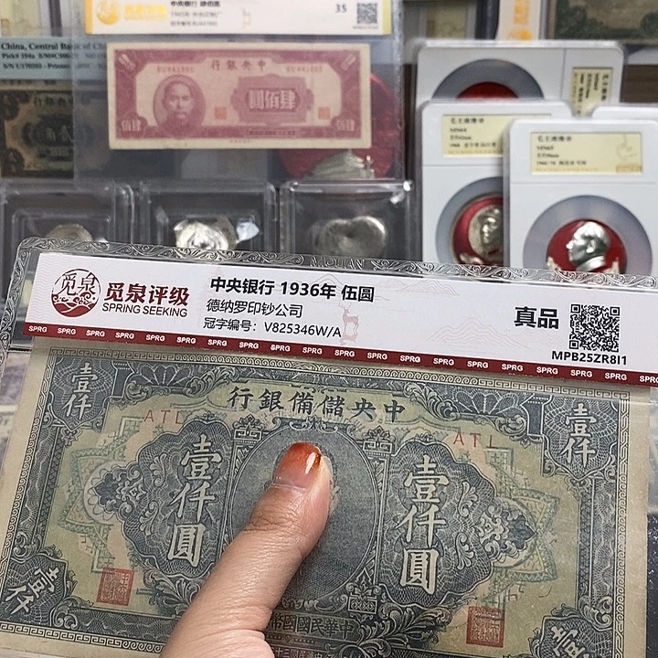 指定冠号一张。